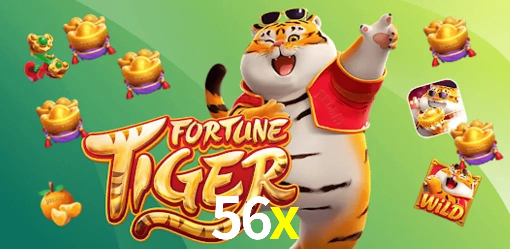 Experiência VIP 56x